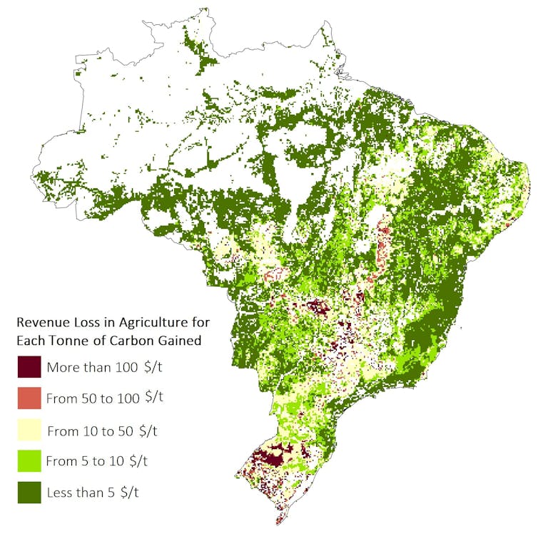 Agriculture in Brazil: how land use possible choices impact biodiversity and the worldwide local weather 2 The map of Brazil shows the losses in agricultural income per ton of carbon produced.