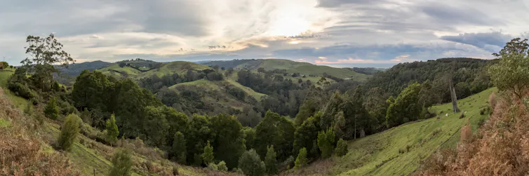 a view over a forested valley and pasture, signs of erosion.