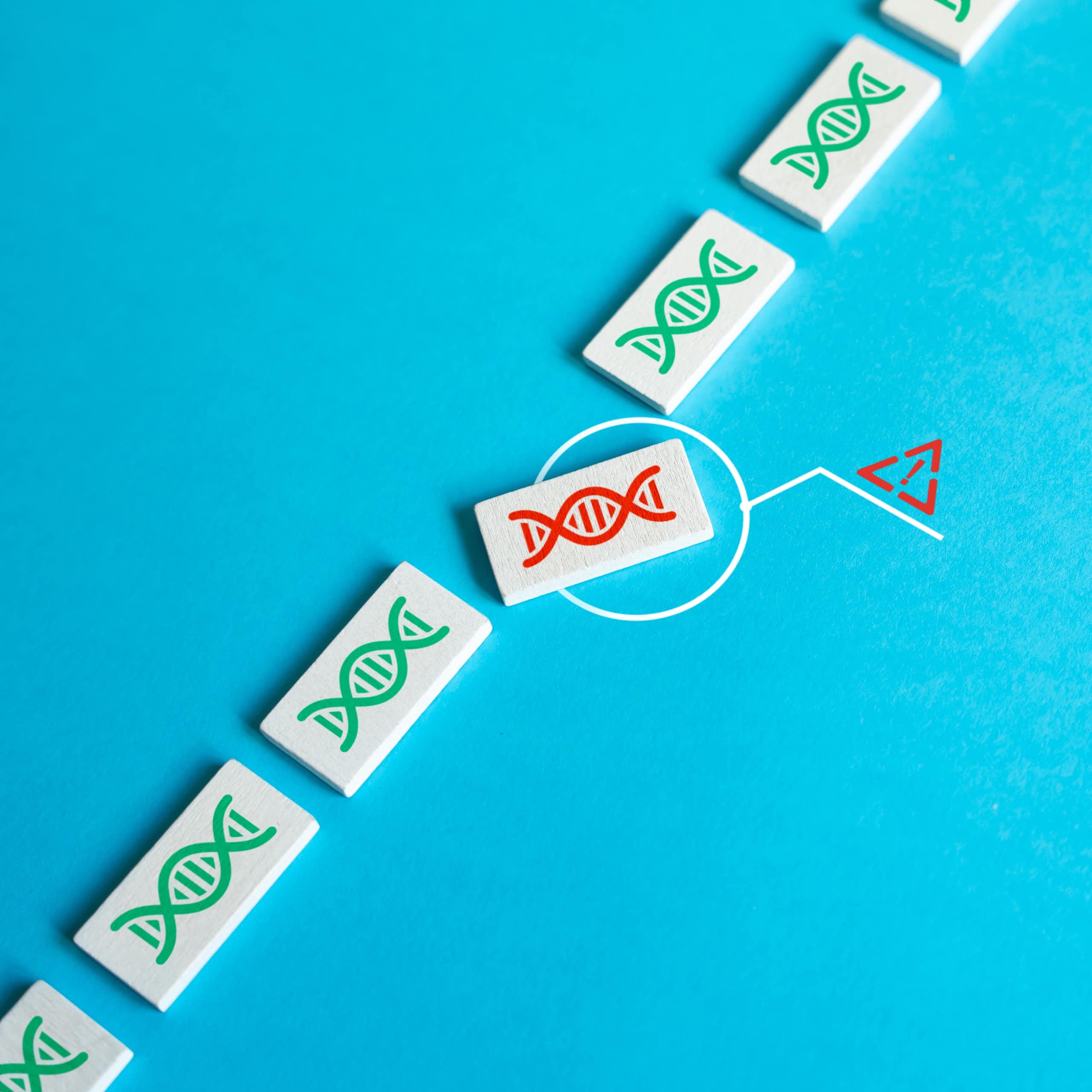 Photo d'un jeu de dominos avec des molécules d'ADN.