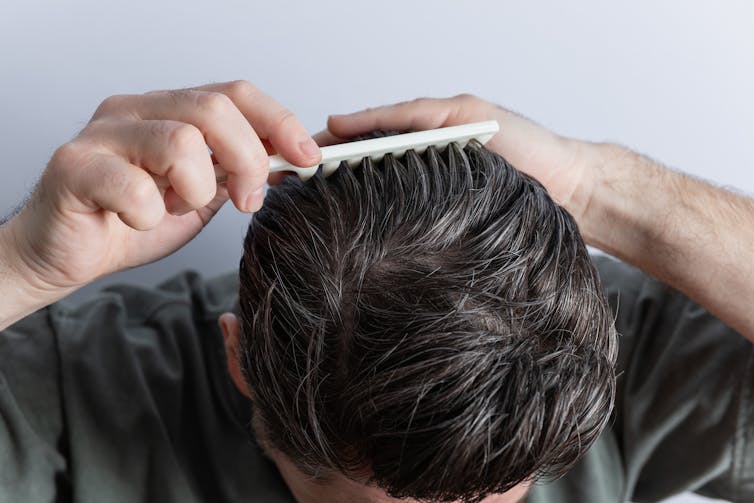 A man pushes a comb through his dark hair, which has some strands of grey throughout.