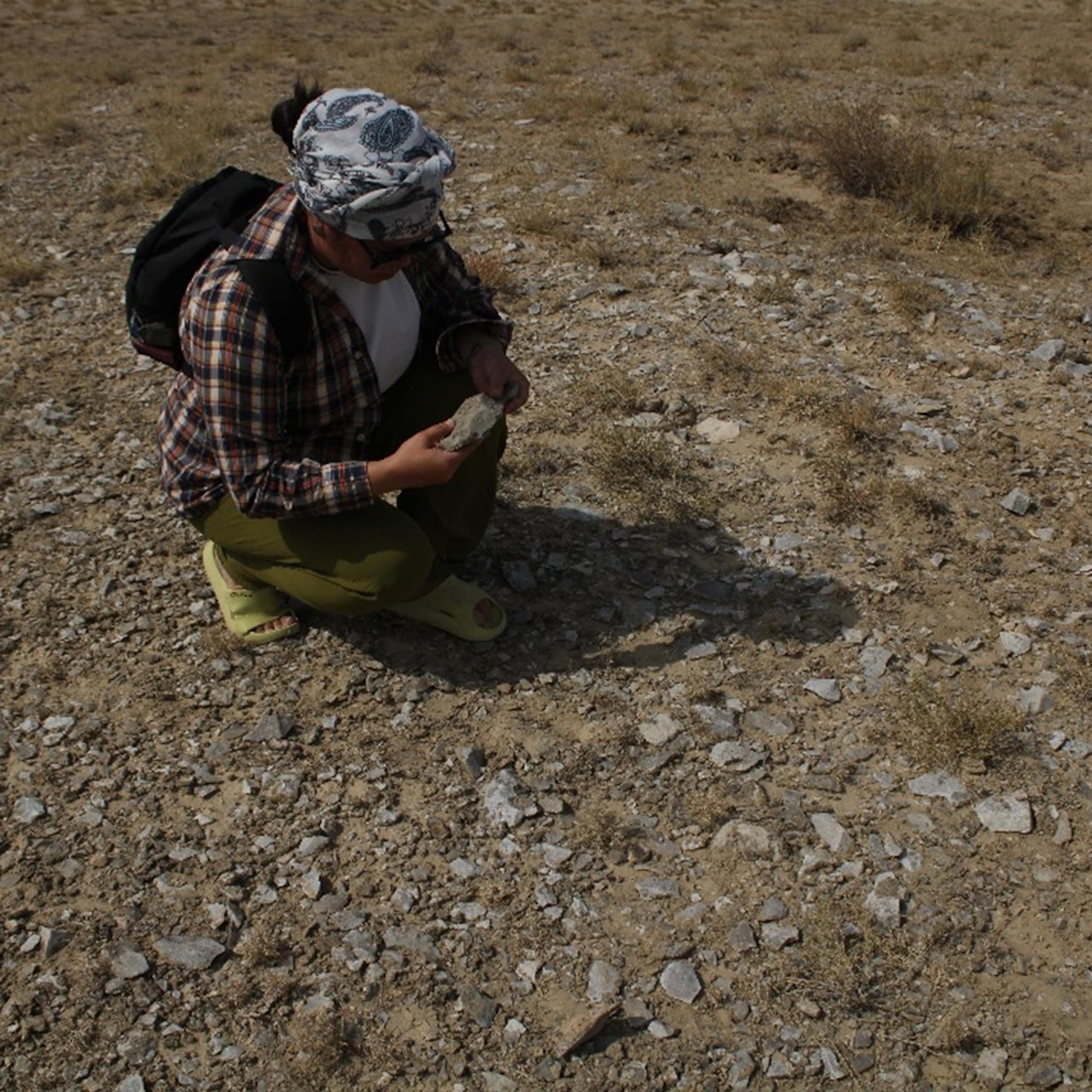 Nos ancêtres du Paléolithique savaient fabriquer des outils simples et efficaces