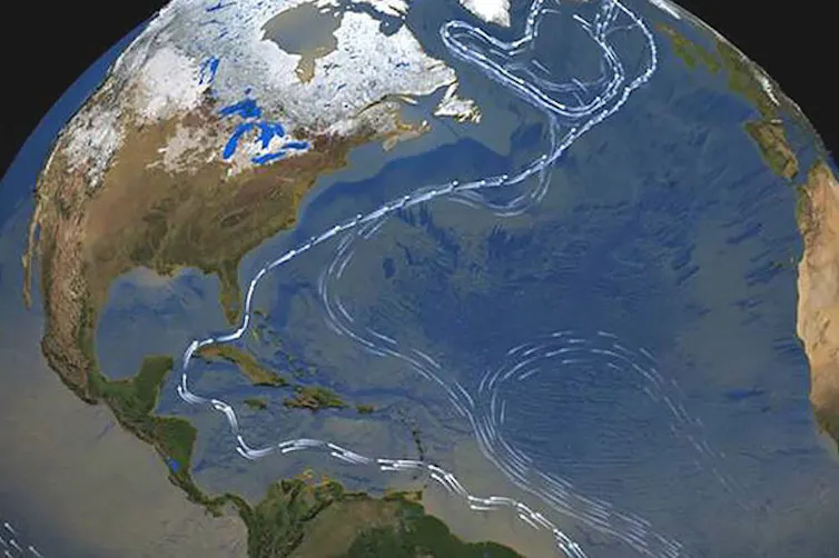 Mapa terrestre que mostra com uma linha o percurso da AMOC ao longo da costa da América no oceano Atlântico