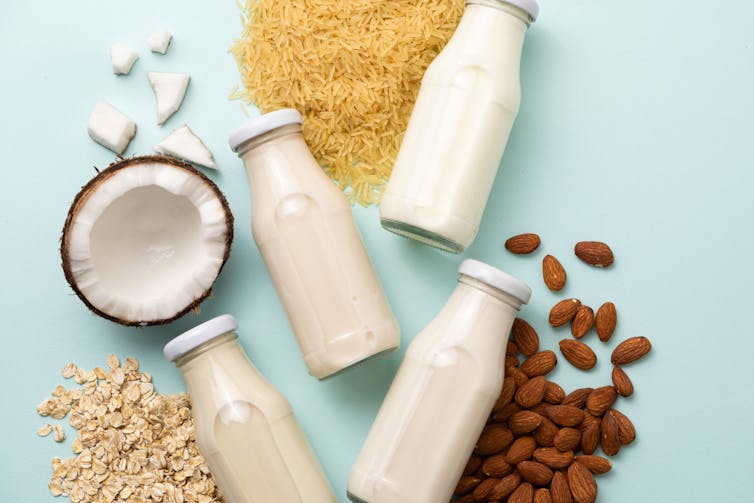 flat lay on blue background with four bottles of white liquid and nuts/grains