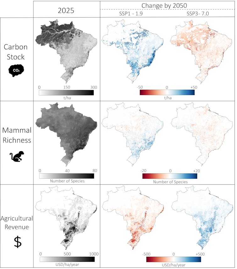 Agriculture in Brazil: how land use possible choices impact biodiversity and the worldwide local weather 1 Graph showing the effects of land use change in Brazil on carbon stocks, mammal richness and agricultural income under two scenarios.
