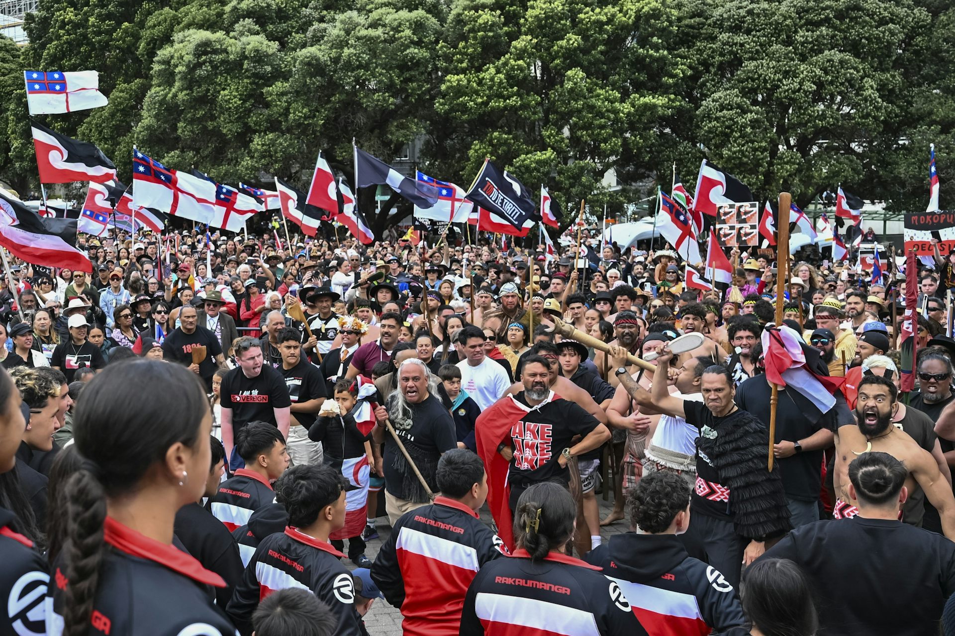 Crowds of people at a protest waving red, white and black flags.