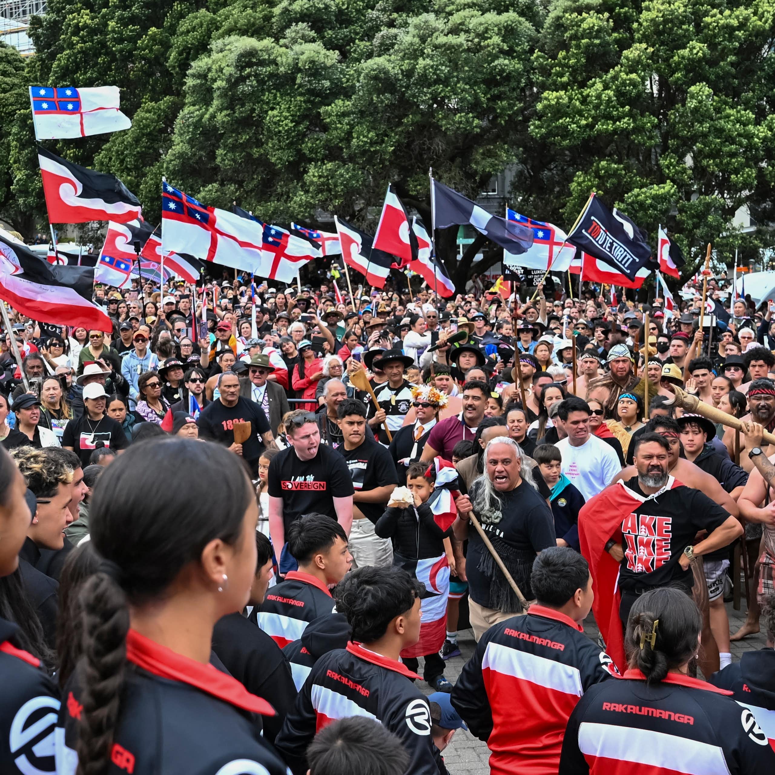 Crowds of people at a protest waving red, white and black flags.