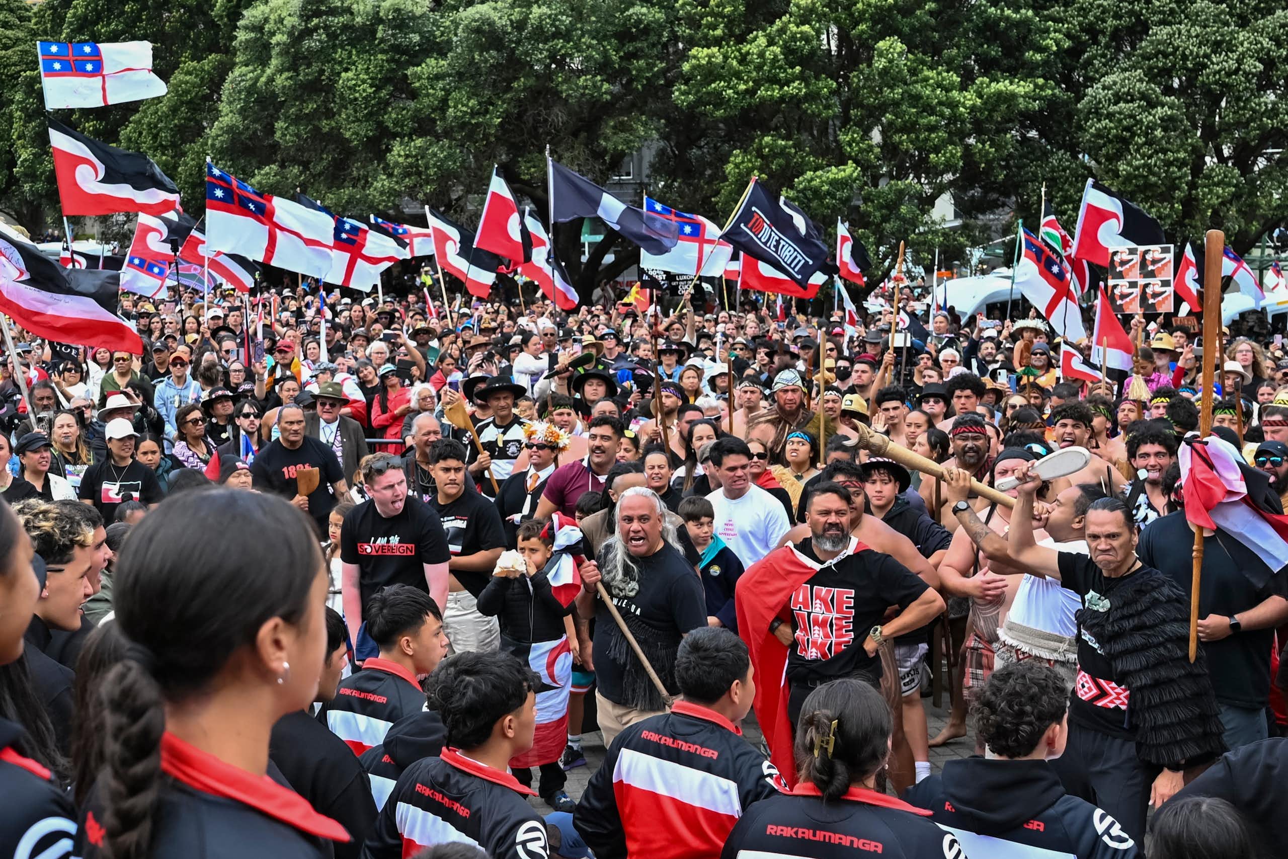 Crowds of people at a protest waving red, white and black flags.