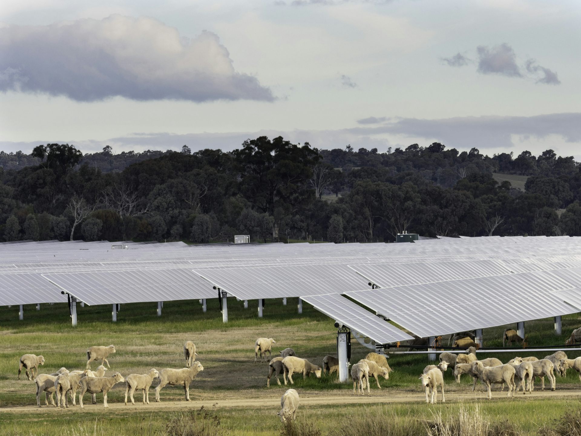 why the Nationals’ retreat on net zero would be bad economics