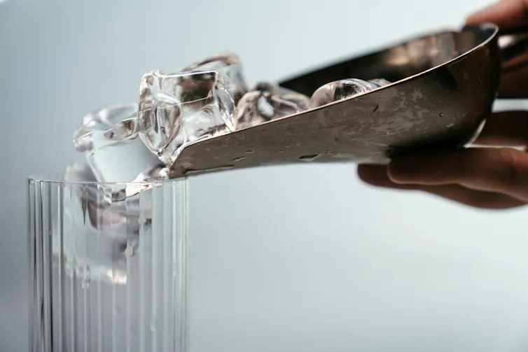 An ice scoop pouring clear ice cubes into a fluted glass on a white background.