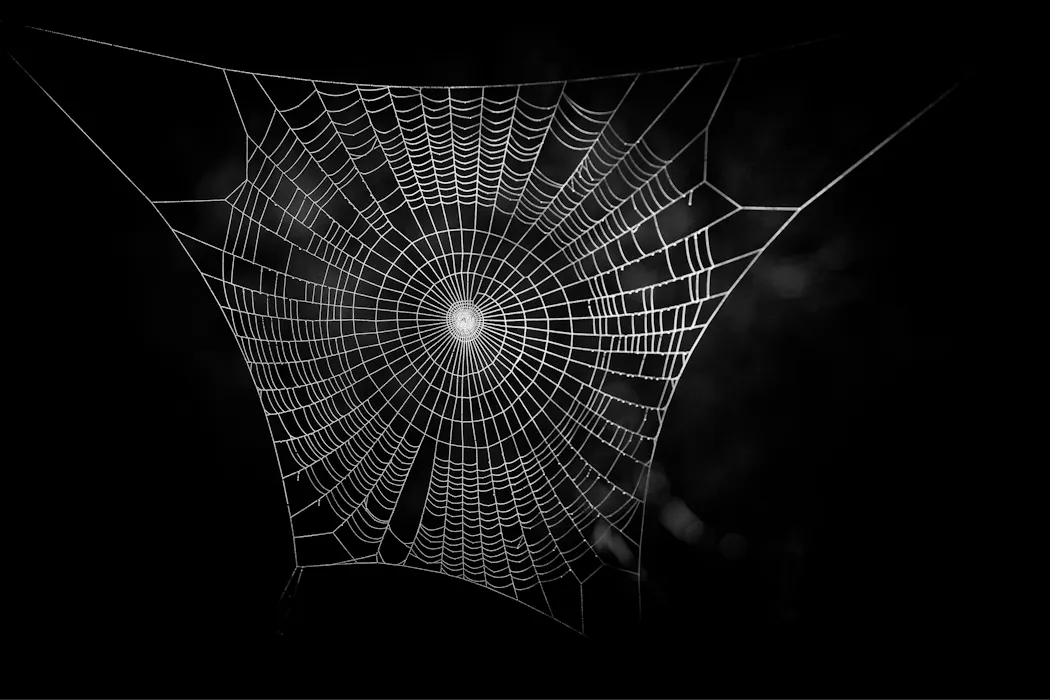 Forensic linguistics: how dark web criminals give themselves away with their language