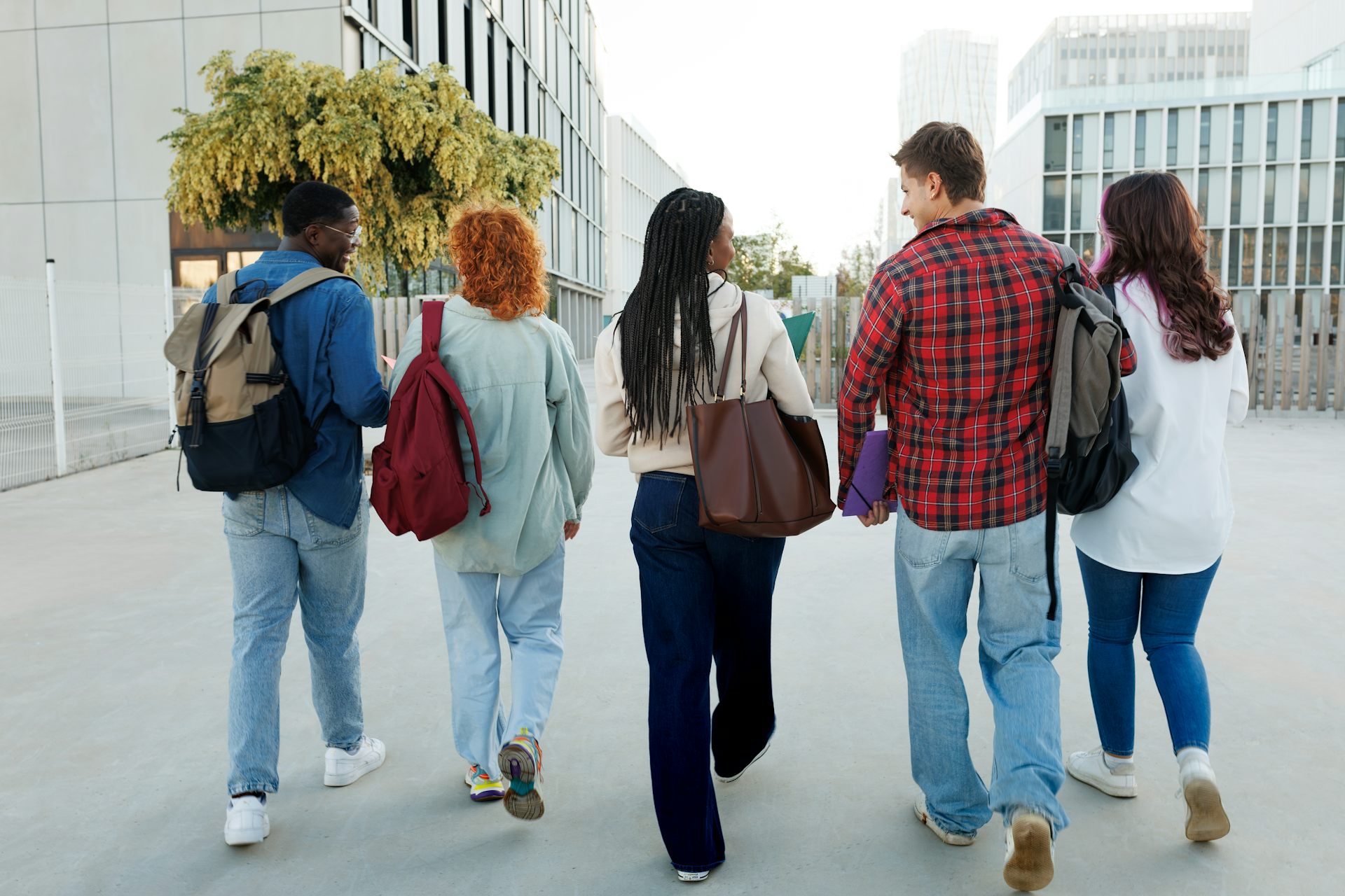 Back view of students walking