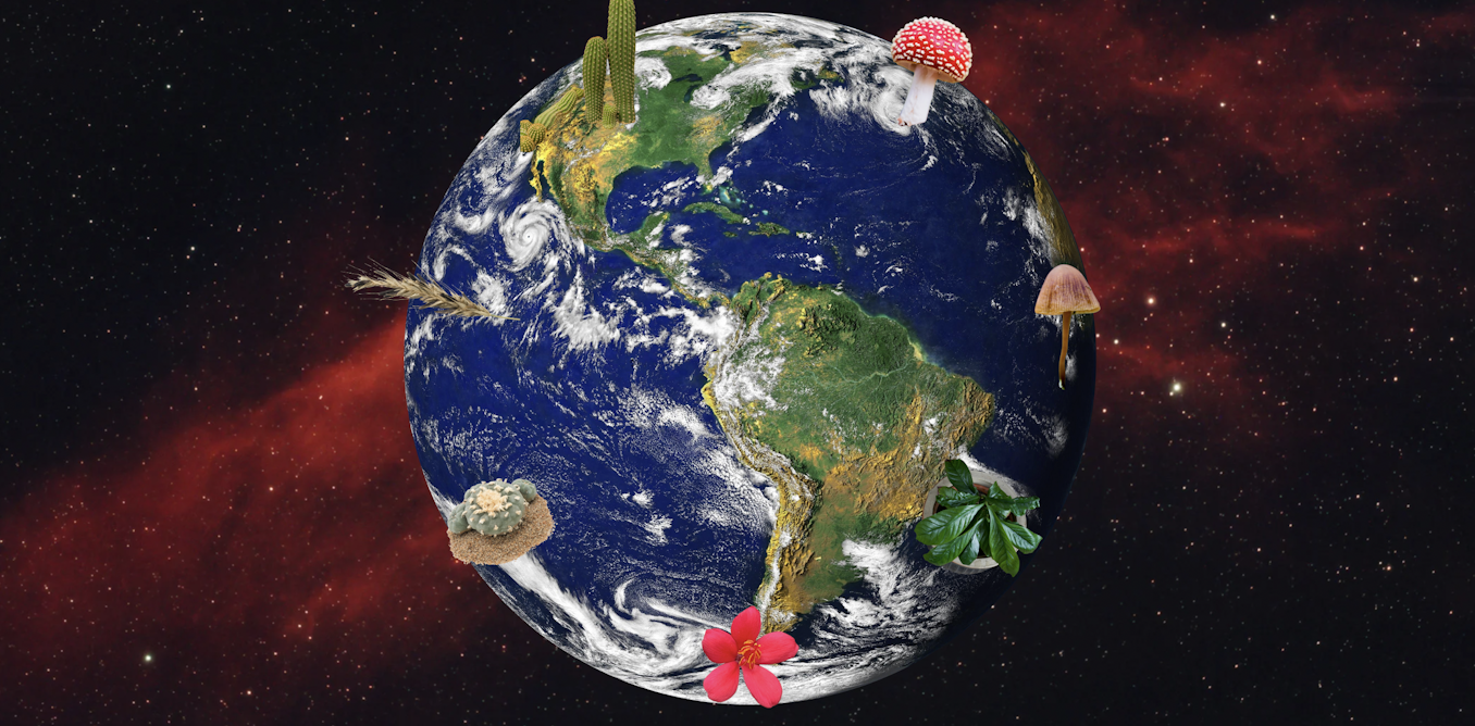 A psychedelic tour of Earth’s ecosystems – from the desert to Siberia A psychedelic tour of Earth’s ecosystems – from the desert to Siberia