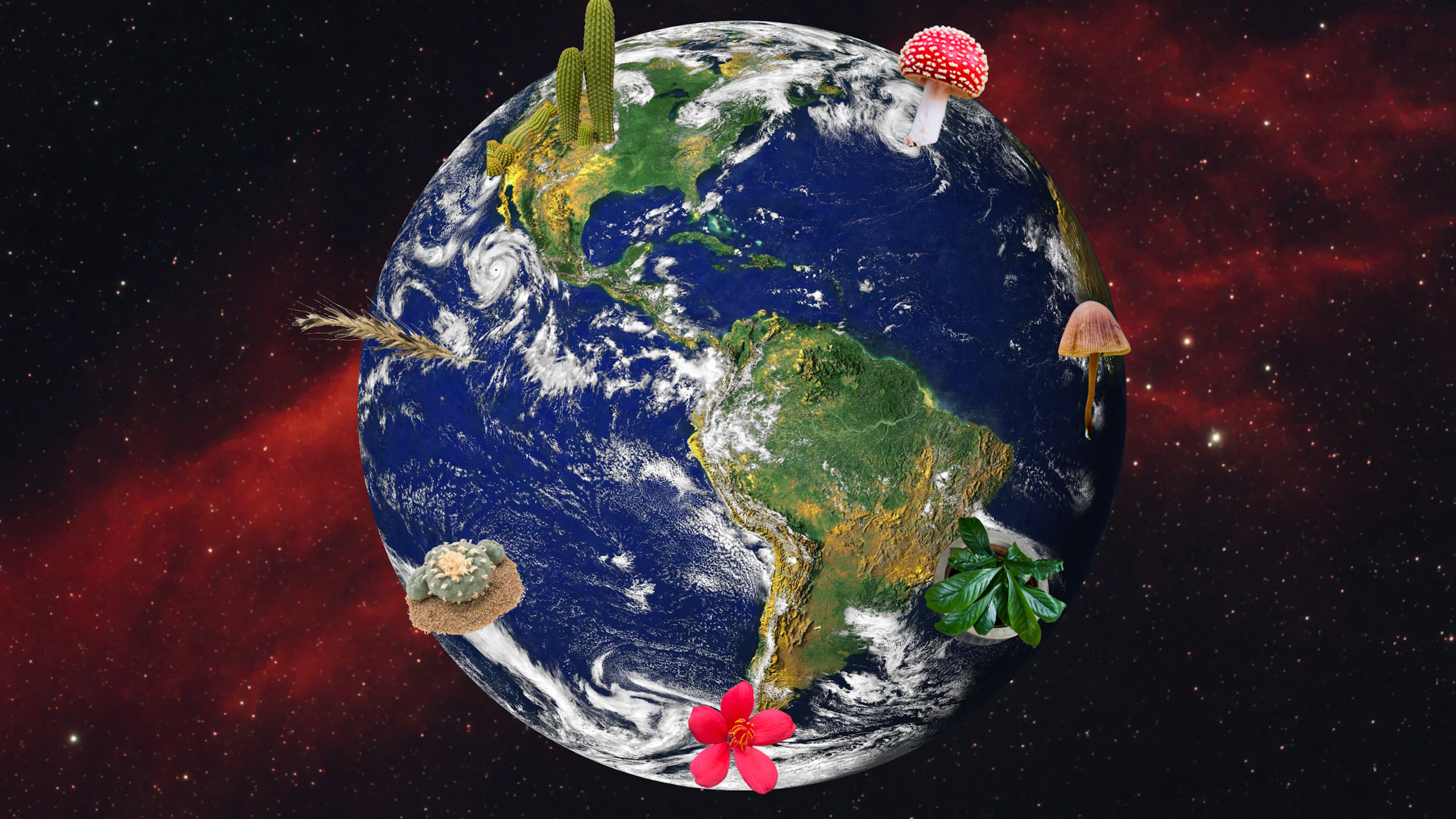 Collage of plants and fungi over an image of planet Earth