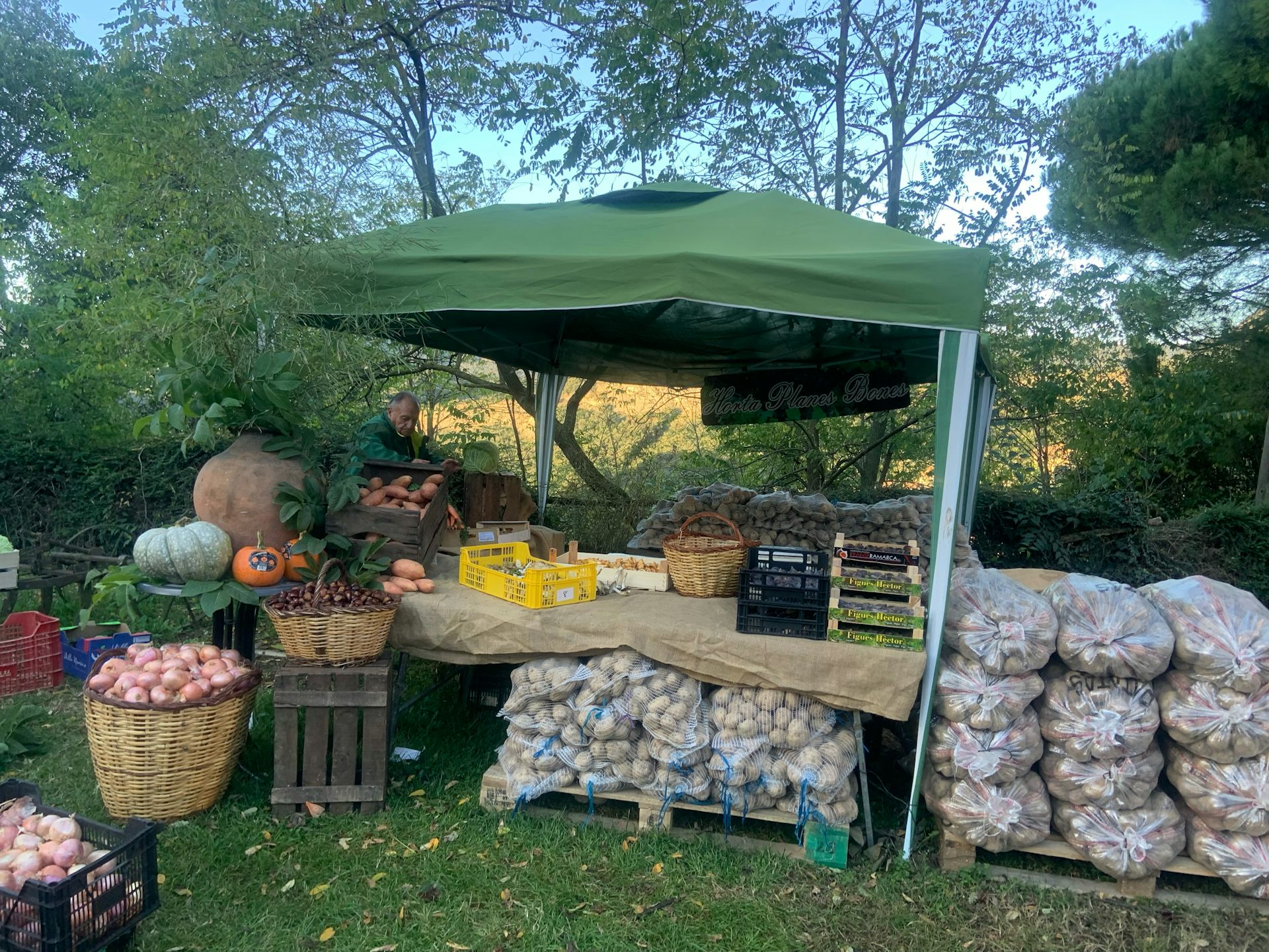 La gastronomía local fortalece la singularidad de lugares y regiones