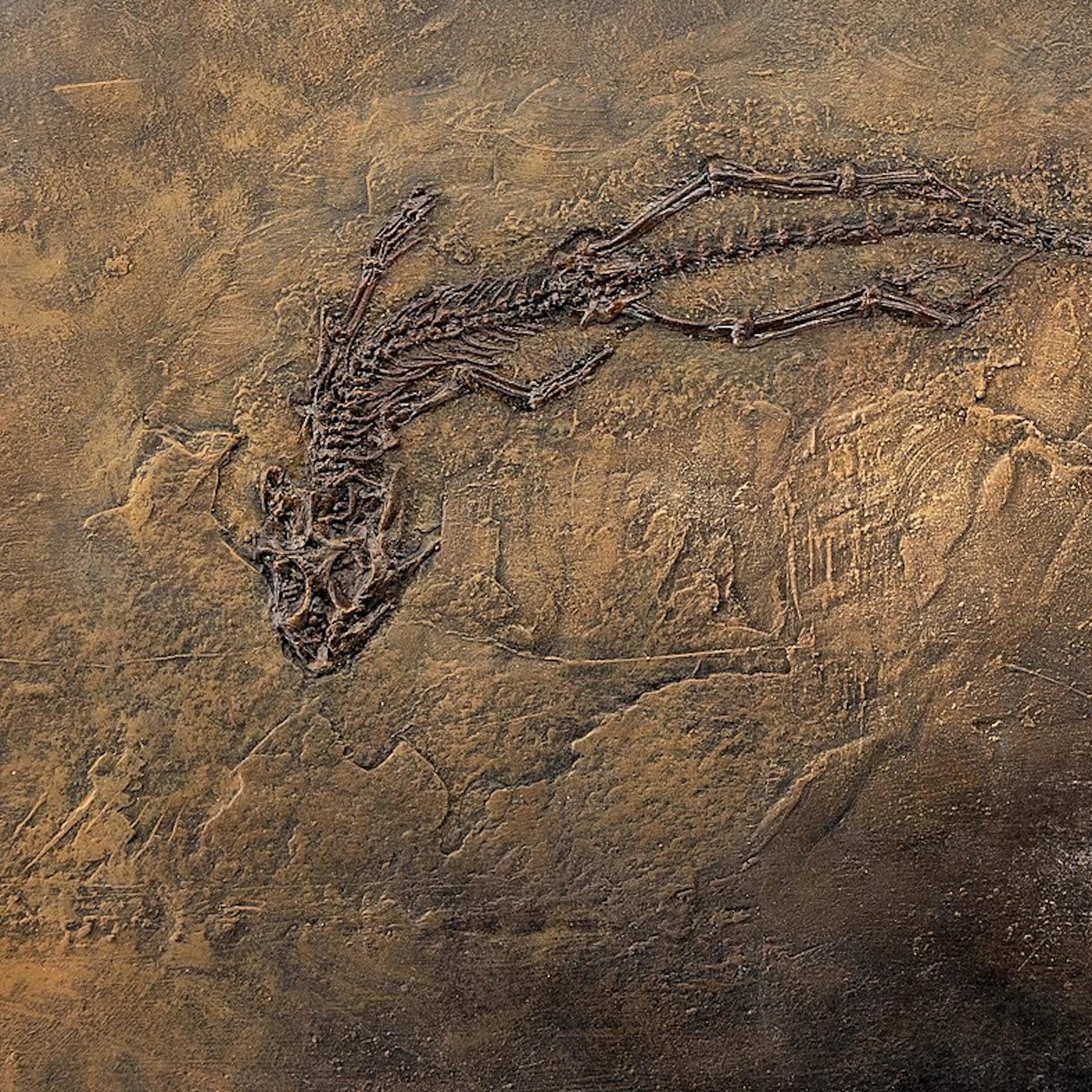 L’« effet Lazare », ou quand certains êtres vivants ressurgissent après des millions d’années