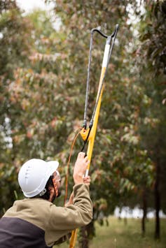 A man wearing a hardhat and holding a slingshot in a forest.