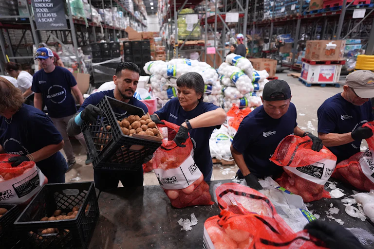 Adult volunteers load potatoes into bags at a food distribution center.