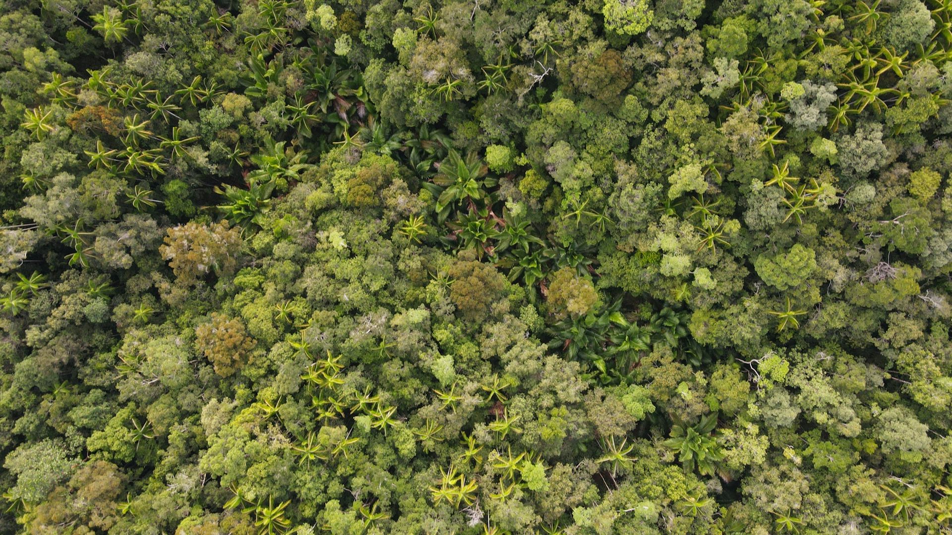 Mitos dapat berperan dalam usaha merawat lingkungan.