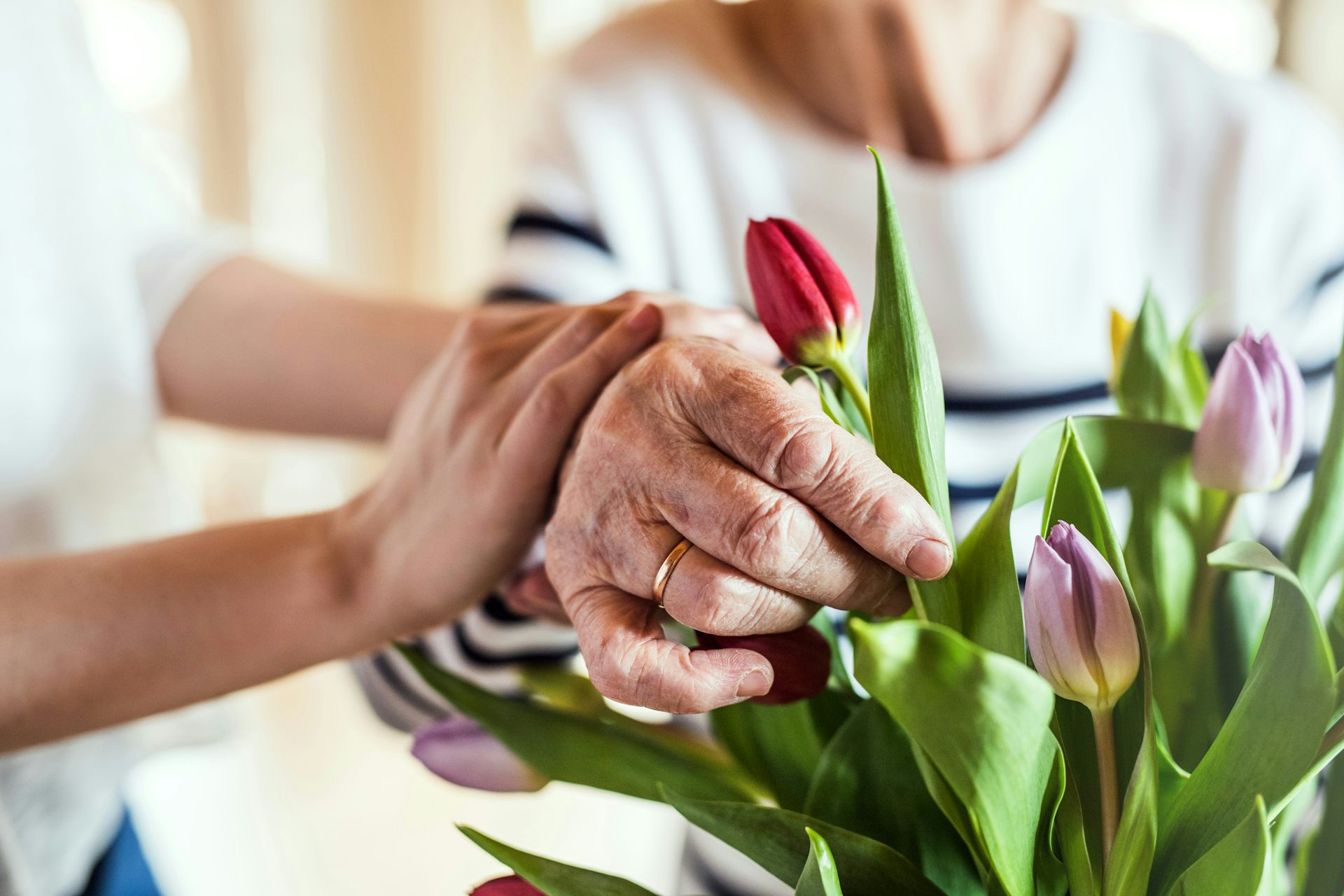 Close-up of an older woman's hand arranging tulips, with a younger woman's hands resting on her arm