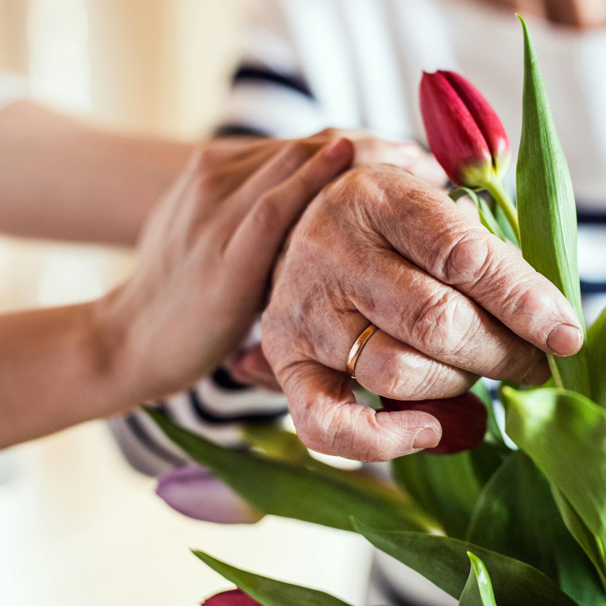 Close-up of an older woman's hand arranging tulips, with a younger woman's hands resting on her arm