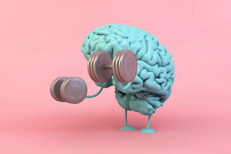 Model of a brain lifting dumbbells.
