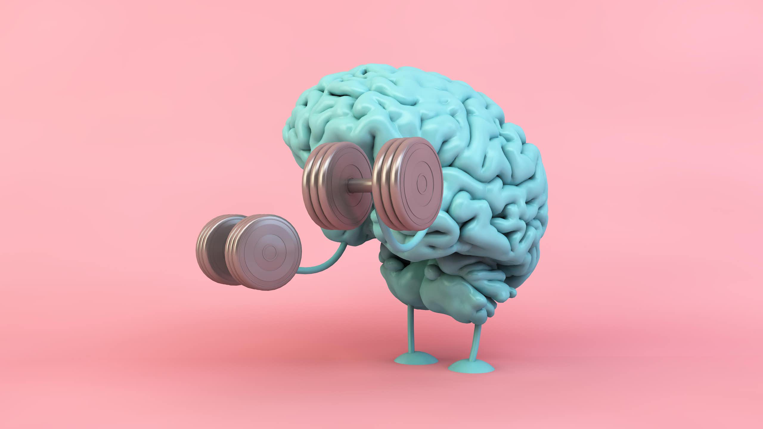 Model of a brain lifting dumbbells.
