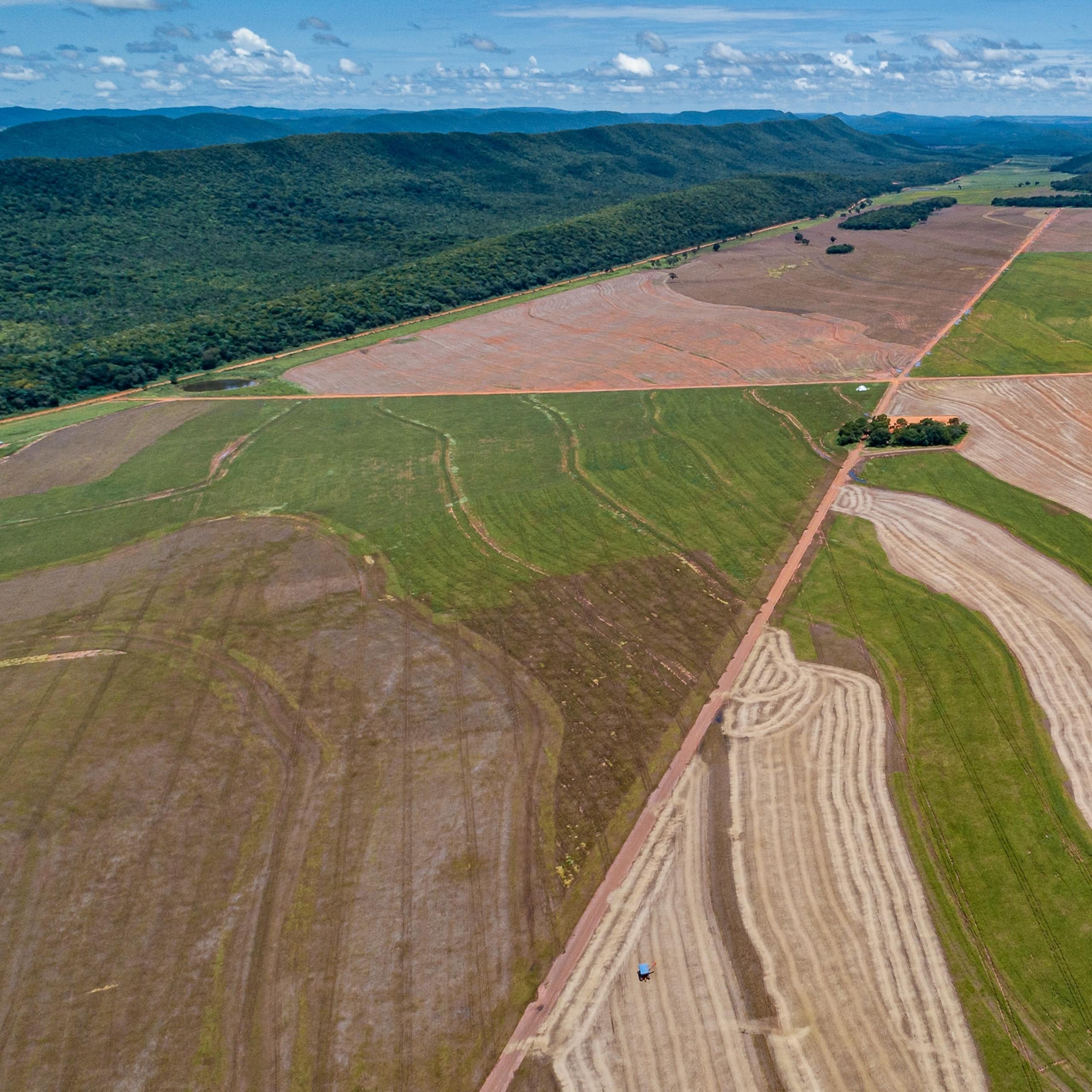 cultures du soja au Brésil