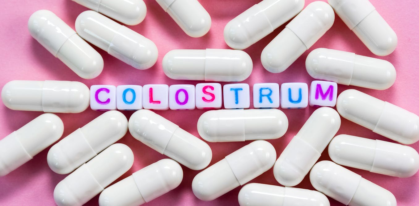 Can colostrum supplements improve your skin, gut and immune system? A nutritionist explains Can colostrum supplements improve your skin, gut and immune system? A nutritionist explains