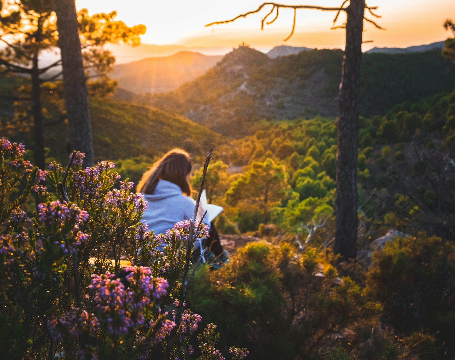 Woman reading in nature