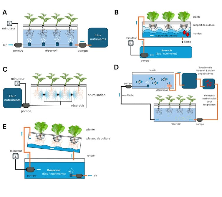What position does above-ground manufacturing play within the agriculture of the following day? 1 file 20251107 56 jaemuz.jpg?ixlib=rb 4.1