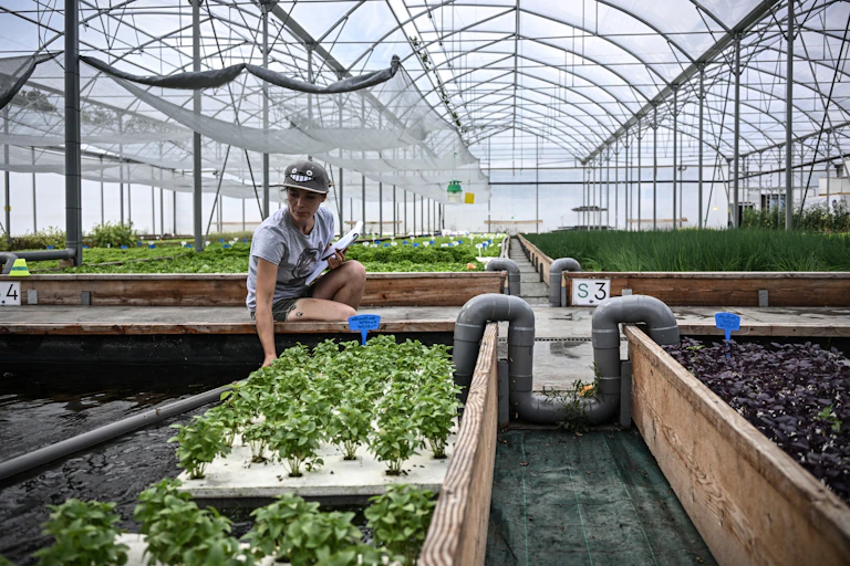 femme dans une serre devant des plantes