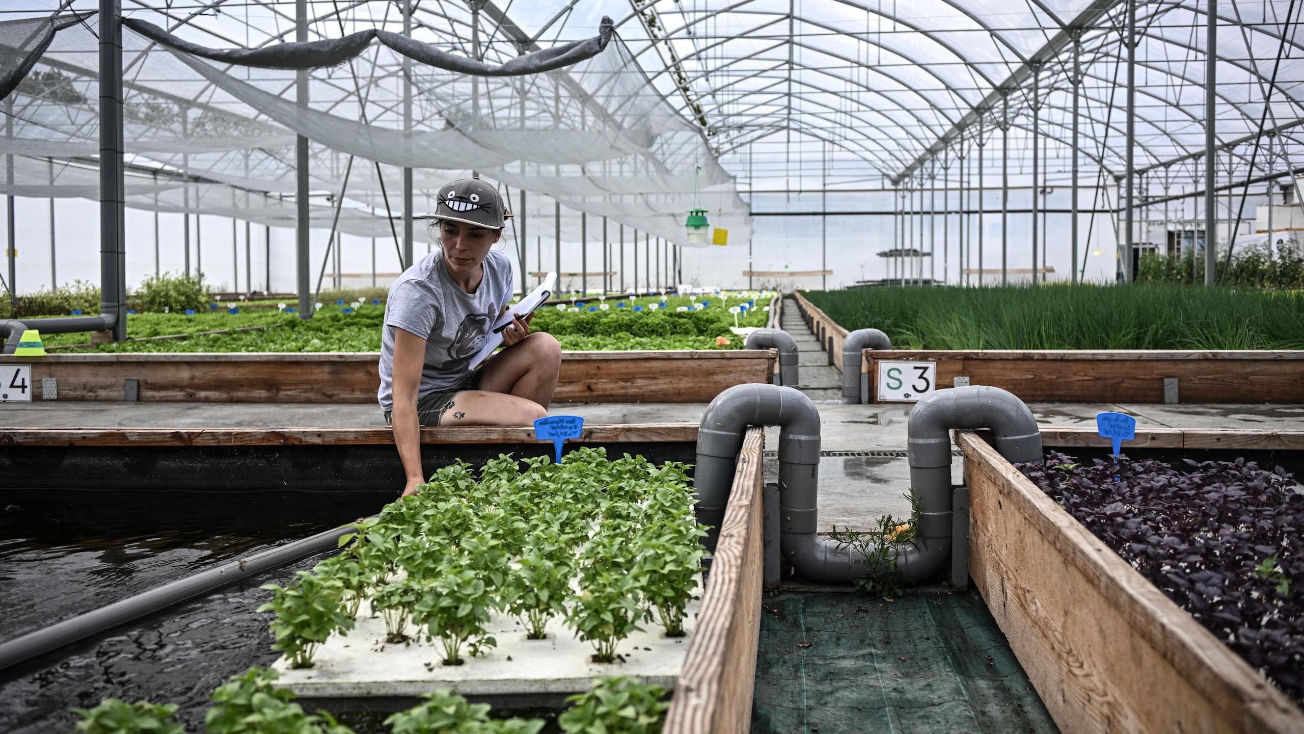 femme dans une serre devant des plantes