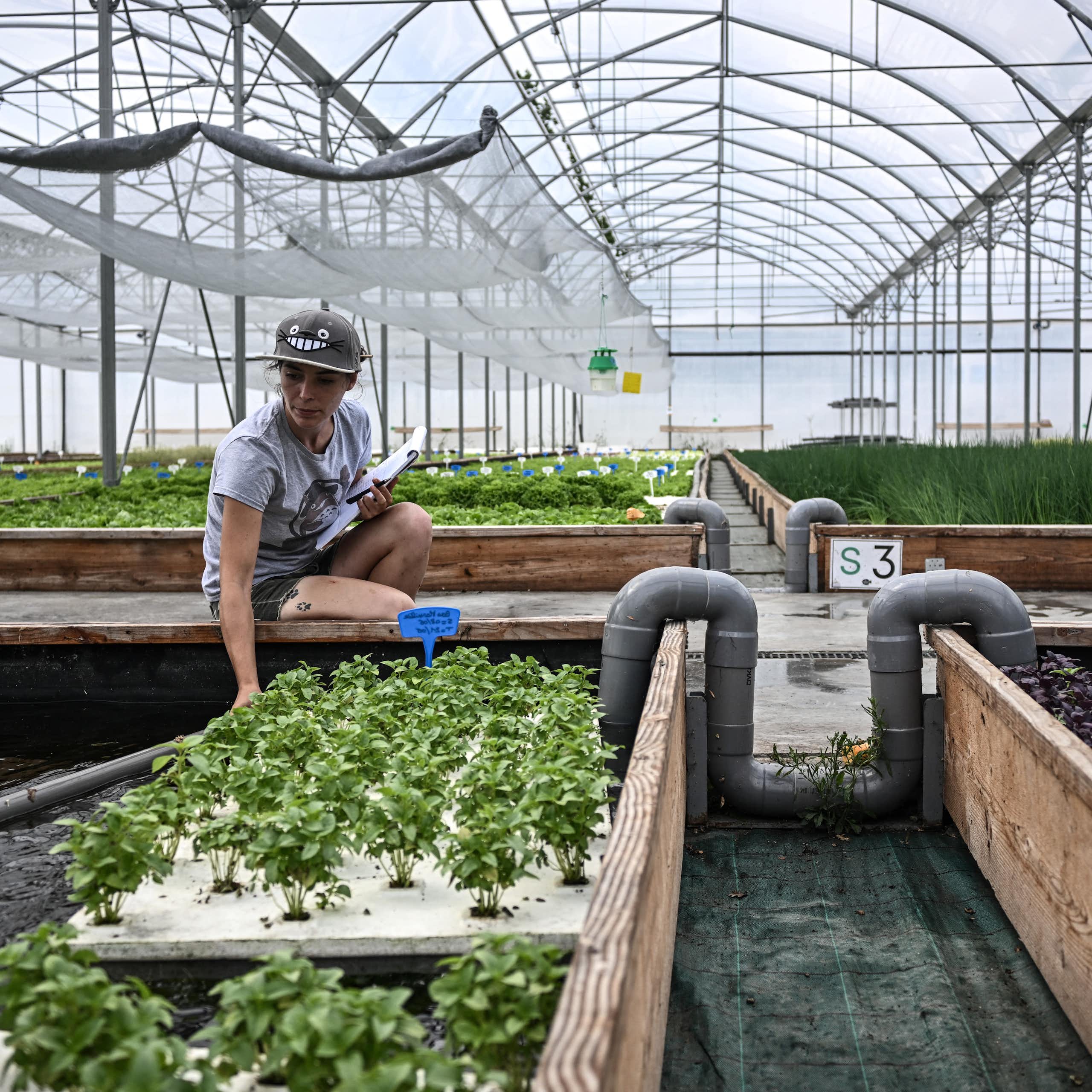 femme dans une serre devant des plantes