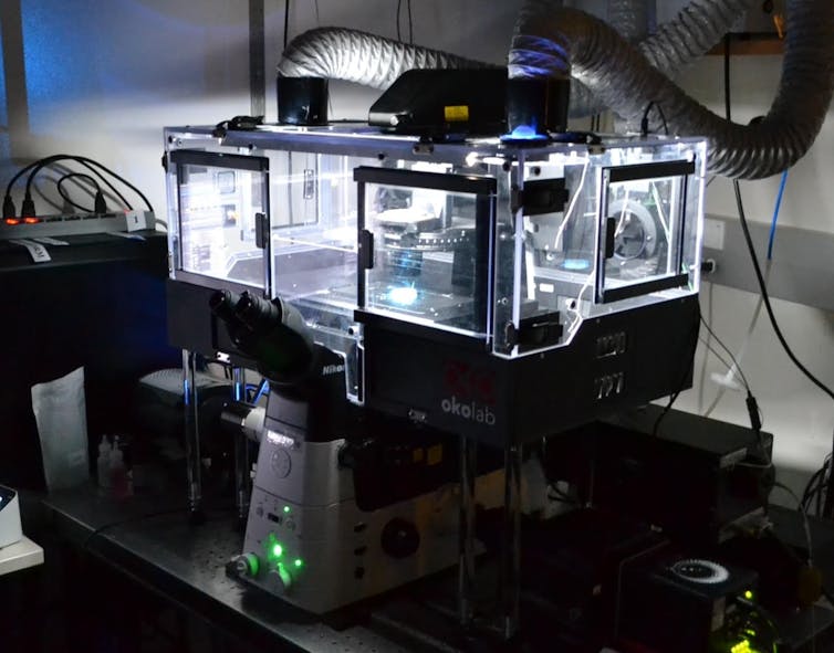 Electrical fields urged nanoparticles thru a liquid-filled maze – this new means may just strengthen drug supply and purification methods 2 A large, see-through box connected to machinery.