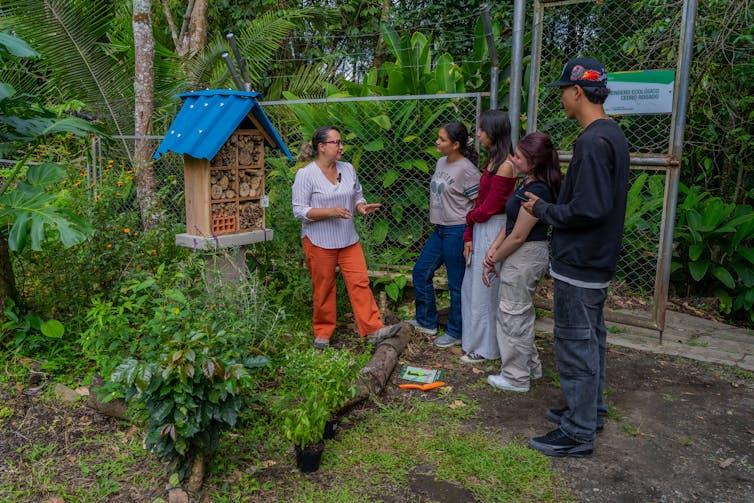 Columbia College is development "hotels" for bees and different pollinators 1 file 20251109 56 sb7s6u.jpg?ixlib=rb 4.1