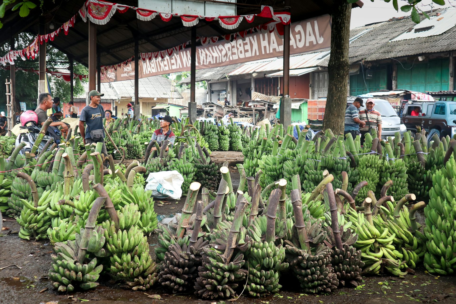 IEU-CEPA bisa jadi momen mencapai pertanian berkelanjutan dan perbaikan nasib petani kecil