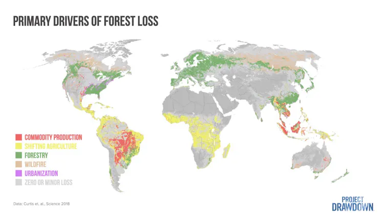 Most of the loss to commodities is in South America and Southeast Asia.