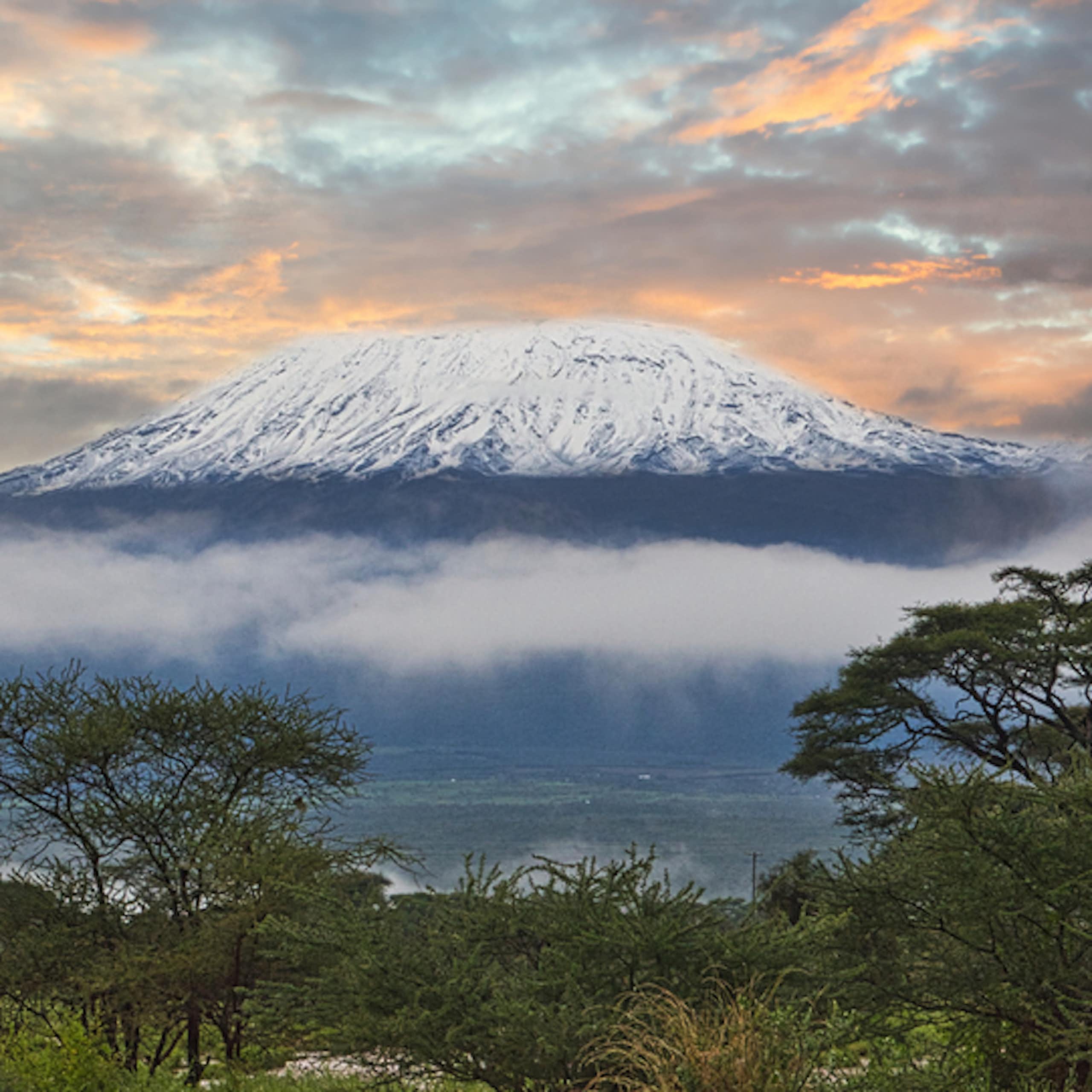 Snowy peaks seen from a distance with trees in the foreground