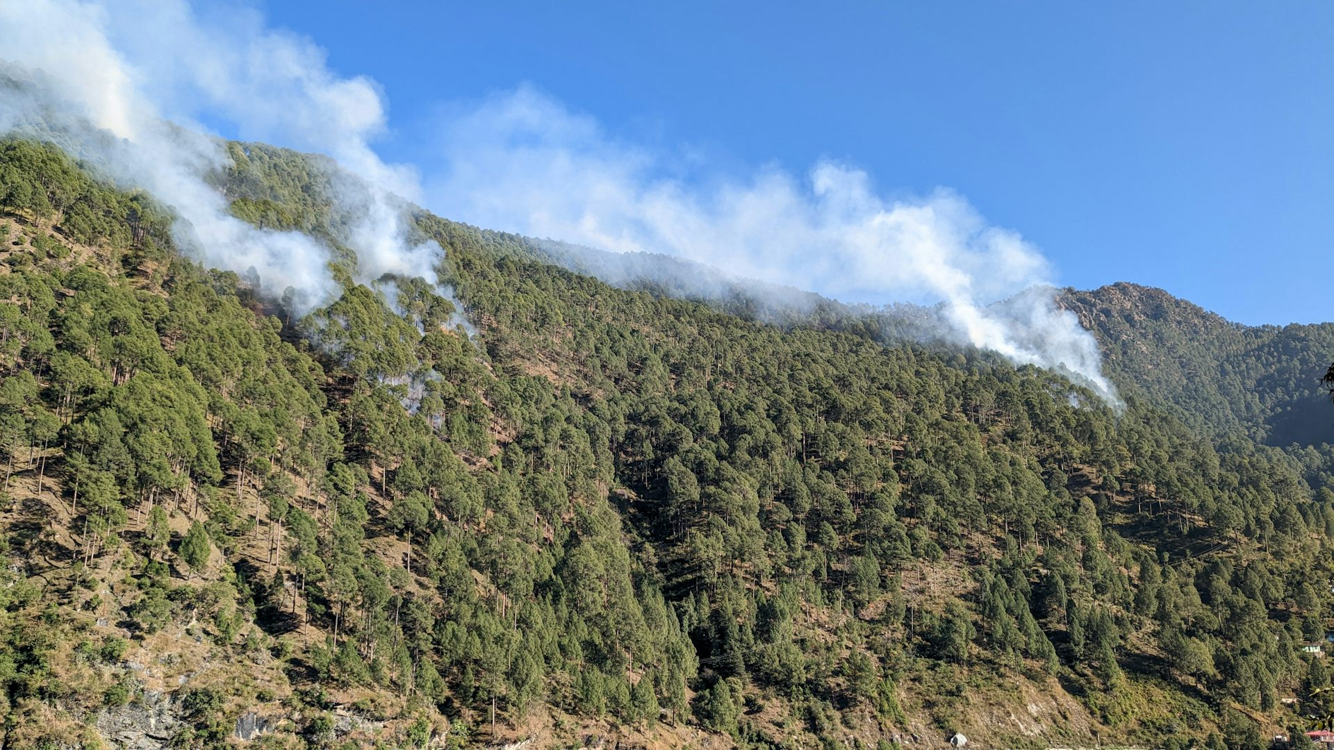 file 20251110 56 p2vcp3.jpg?ixlib=rb 4.1