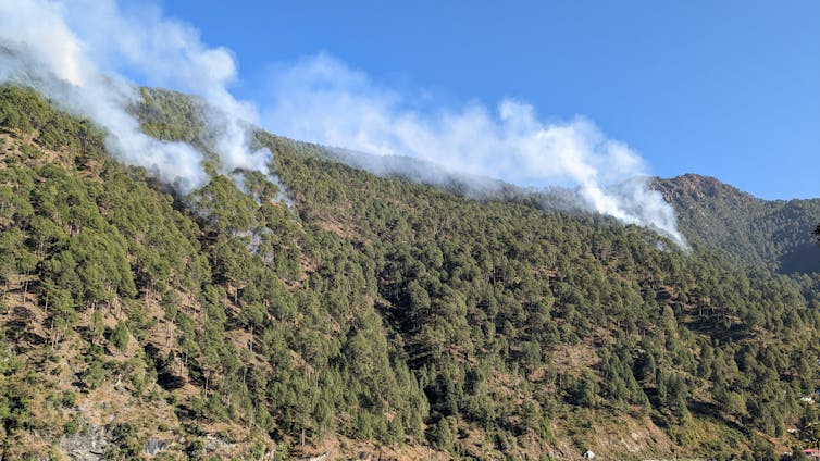 How conventional Himalayan burning may just lend a hand save you mega wildfires 1 file 20251110 56 p2vcp3.jpg?ixlib=rb 4.1