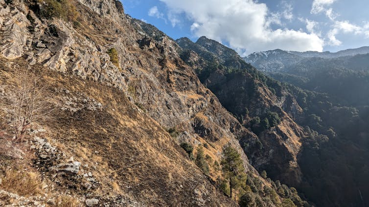 How conventional Himalayan burning may just lend a hand save you mega wildfires 2 A patch of grass after a fire.