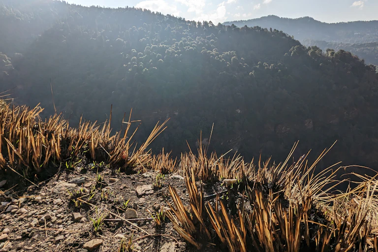 A burnt patch of grass in the foreground.