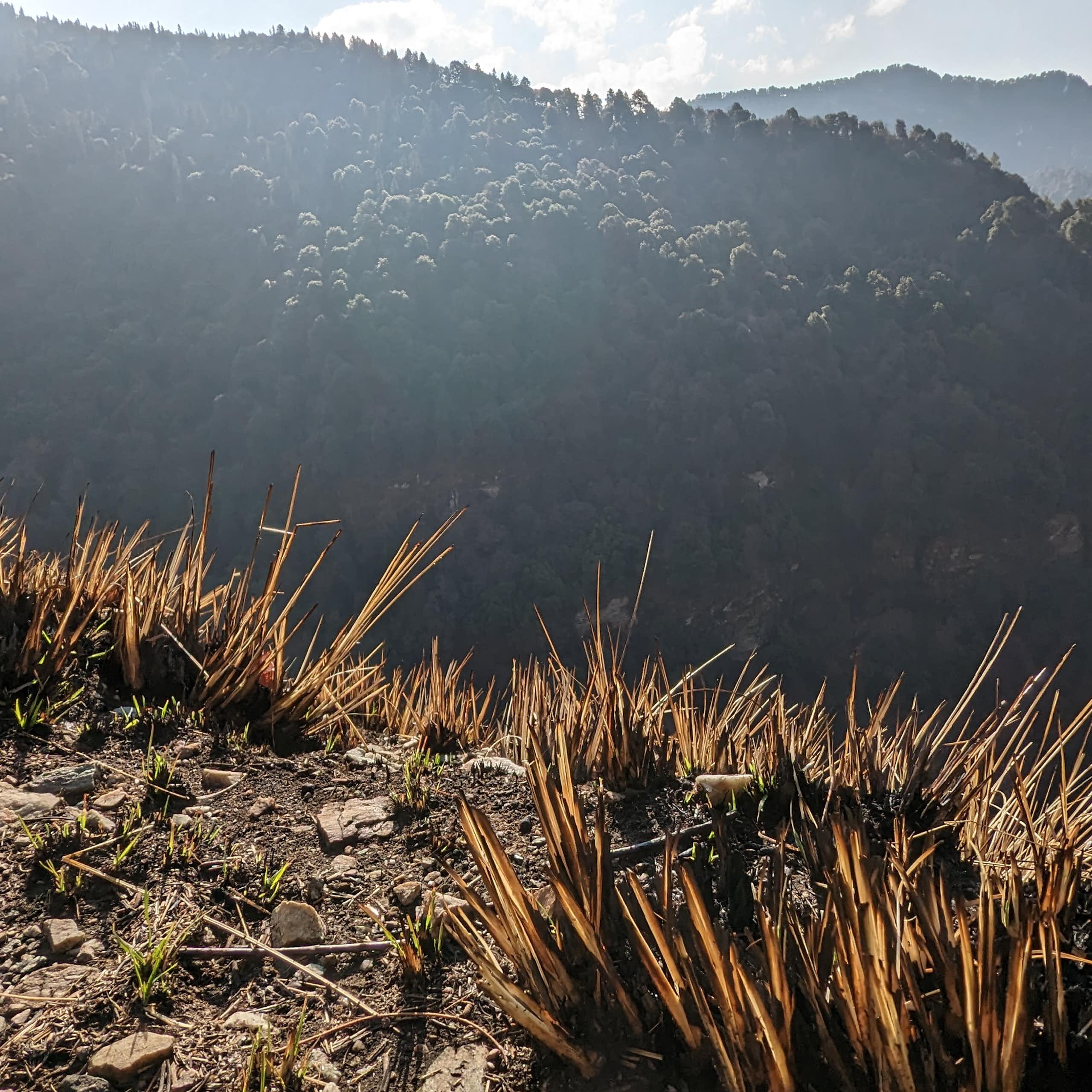A burnt patch of grass in the foreground.