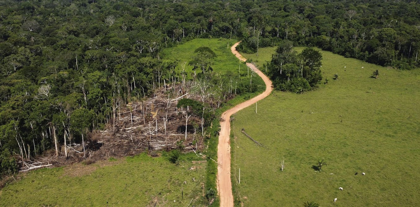A bold new investment fund aims to channel billions into tropical forest protection – one key change can make it better A bold new investment fund aims to channel billions into tropical forest protection – one key change can make it better