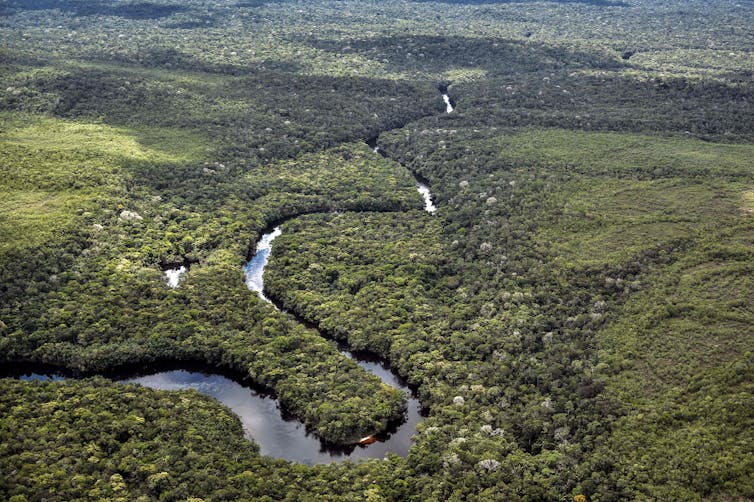 A daring new funding fund targets to channel billions into tropical woodland coverage – one key alternate could make it higher 2 An aerial view of the Caquetá region, with a river winding through forest and areas of deforested land.
