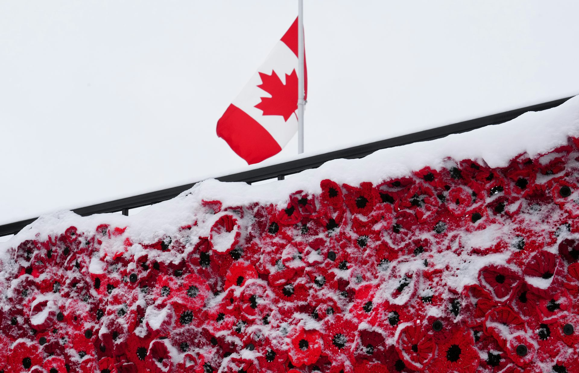 Snowy fabric poppies below a Canadian flag on a pole