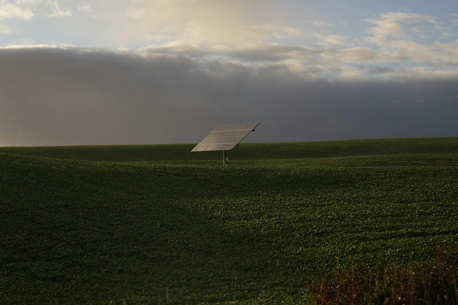 panel solar en campo de hierba verde