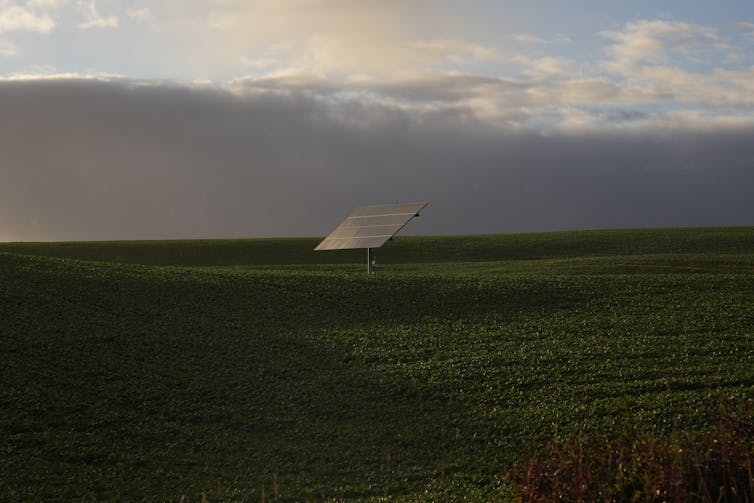panel solar en campo de hierba verde