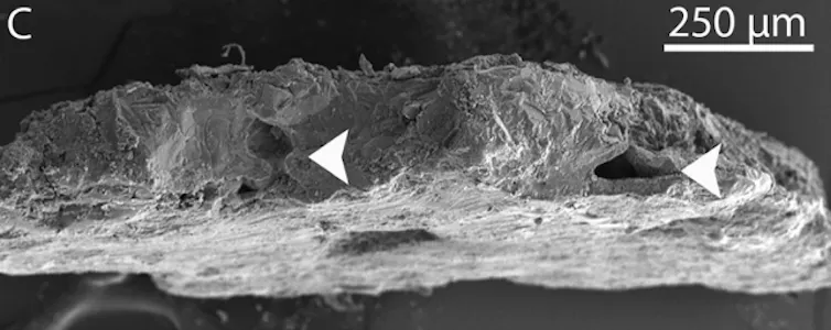 A microscopic image of a material with small holes.