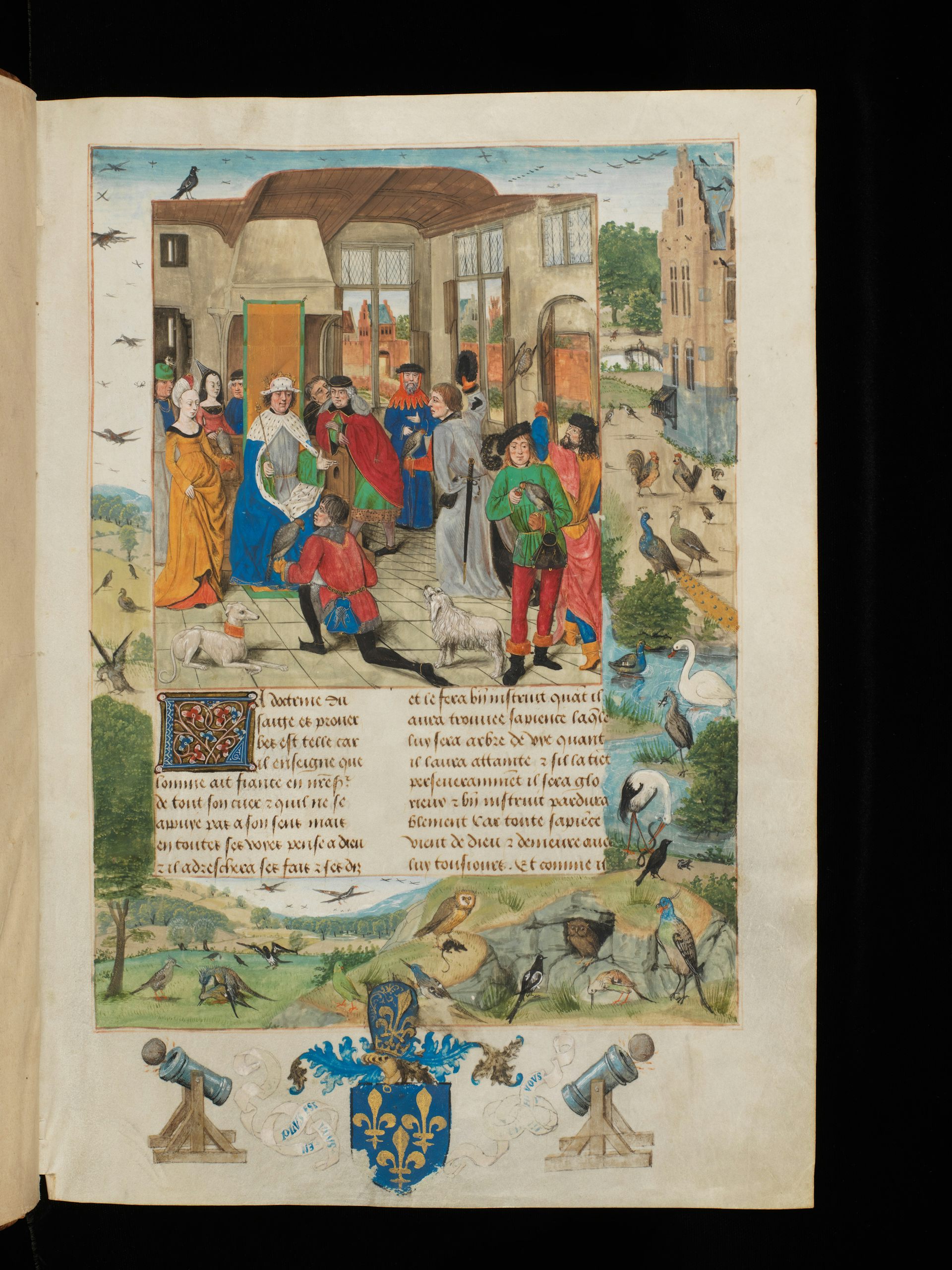 Bird sex fascinated medieval thinkers as much as people today